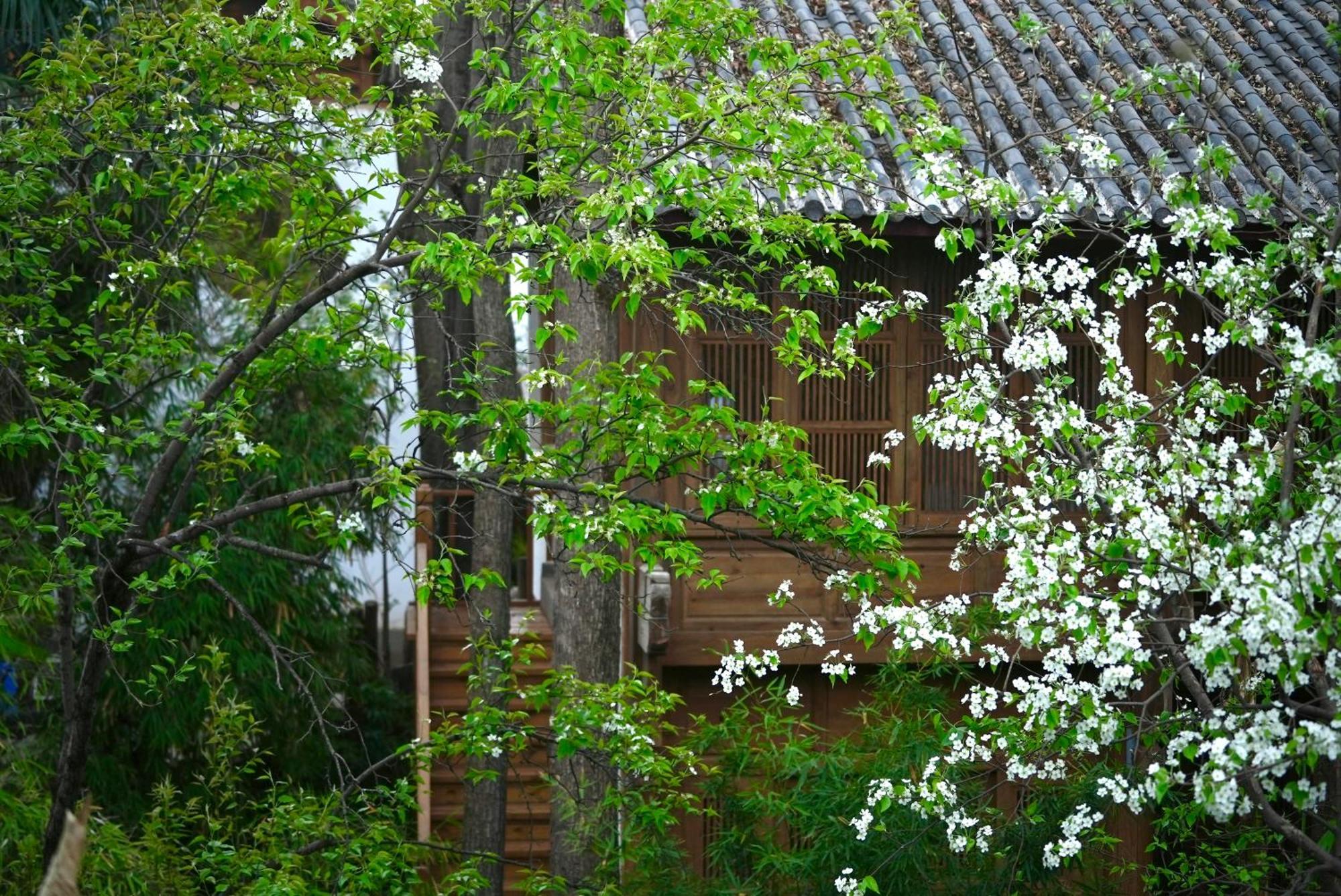 吾爱堂 Apartman Licsiang Kültér fotó